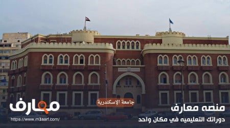 جامعة الإسكندرية | التخصصات والتنسيق 2024 - 2025