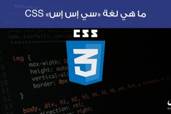 Img width height. CSS. Высота в html. CSS Max-width деление. Text Family CSS.