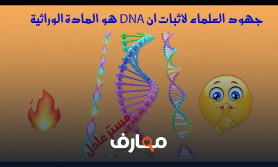 DNA بيولوجيا جزيئية احياء ثانوية عامة